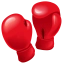 Boxing